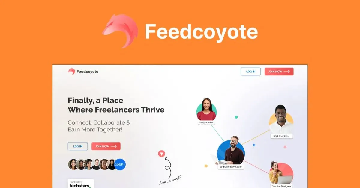 Feedcoyote Lifetime Deal