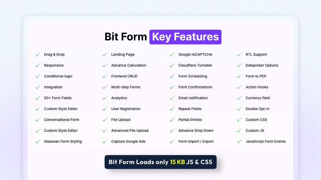 Features of the Bit Form Lifetime Deal